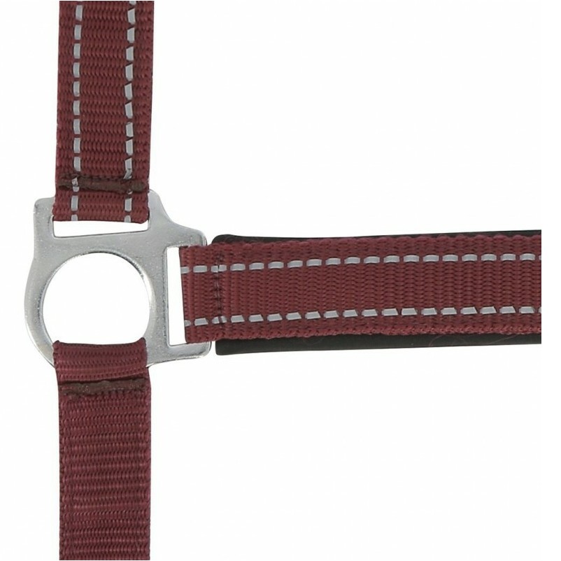 Halfter REFLECTIVE bordeauxrot