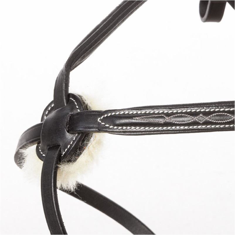 Trensenzaum mit mexikanischem Reithalfter DIANDRO schwarz