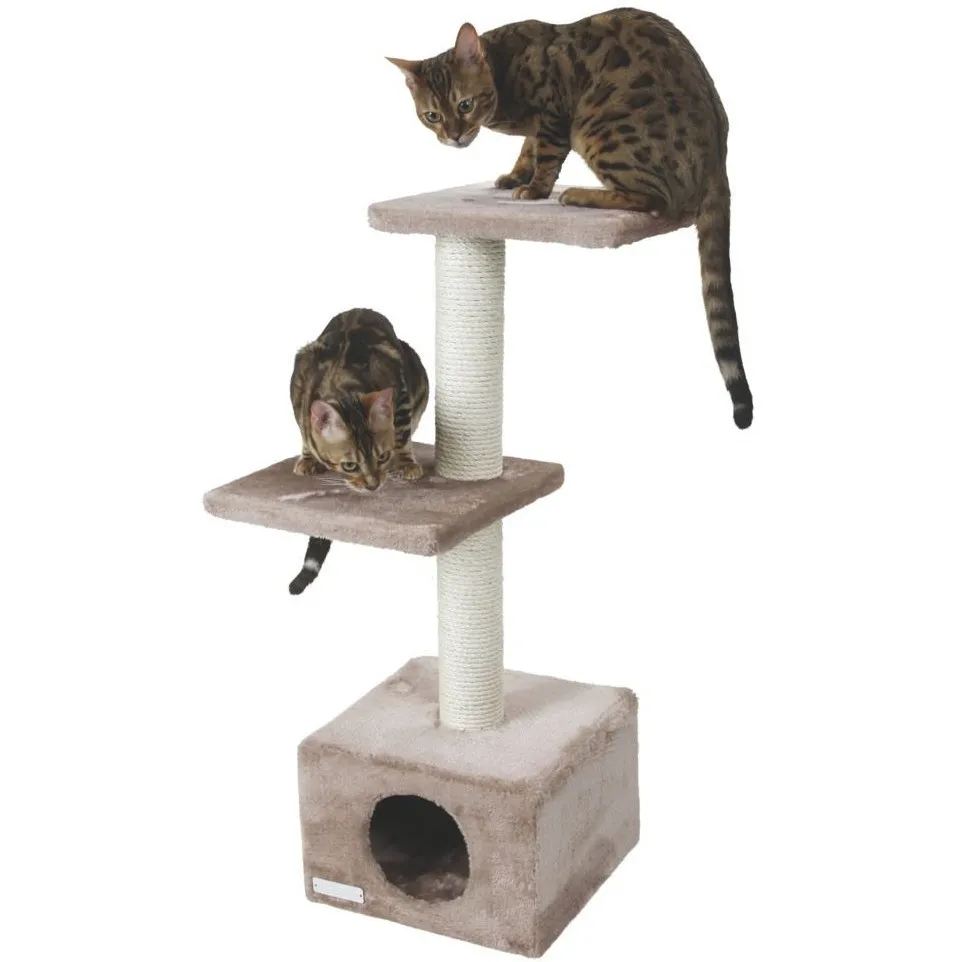 beige/grau