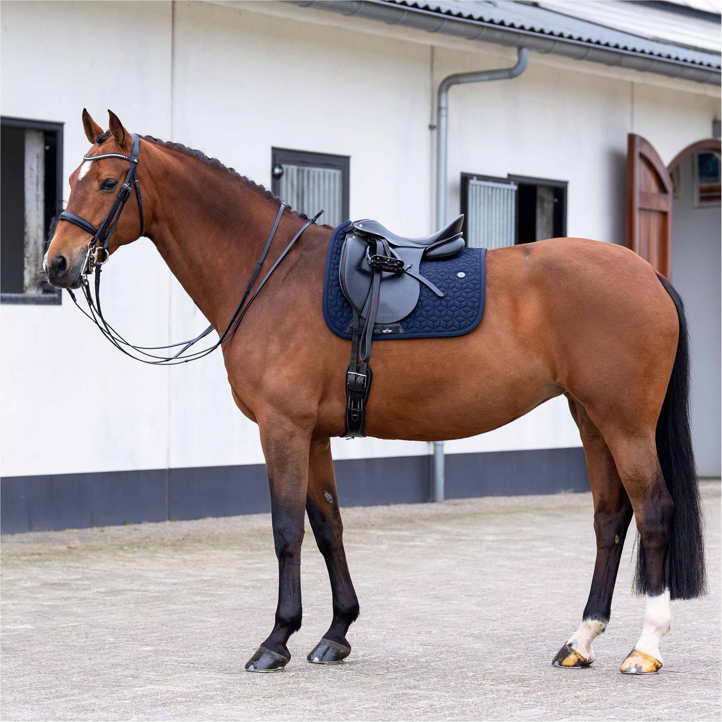 Schabracke HVPEssential navy Warmblut Dressur