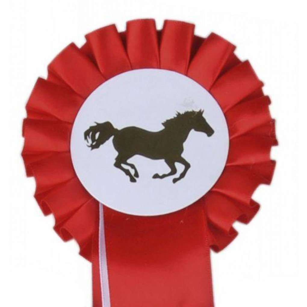 Turnierschleife Einfachrosette rot/weiß