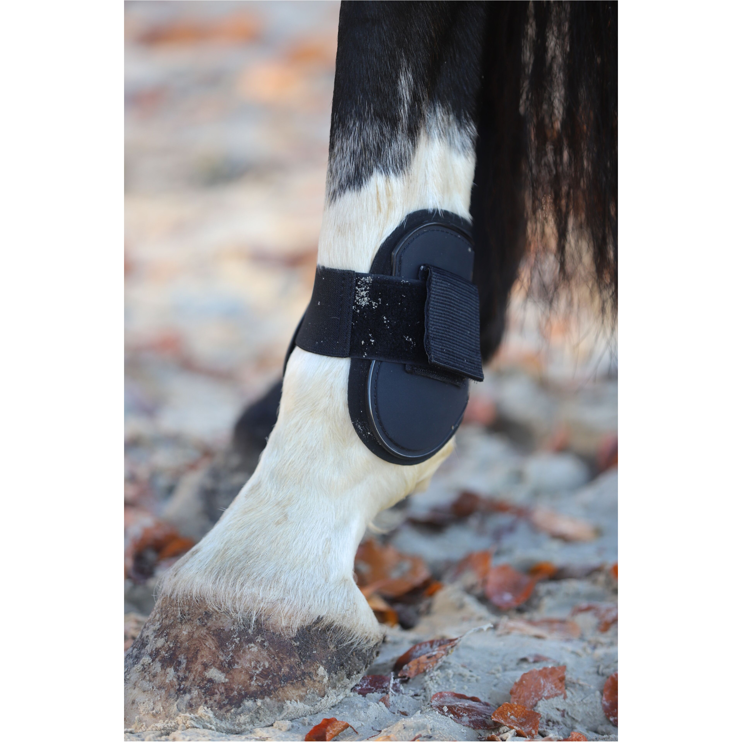 Gamaschen & Streichkappen (4er Set) schwarz Gamaschen & Streichkappen (4er Set) schwarz