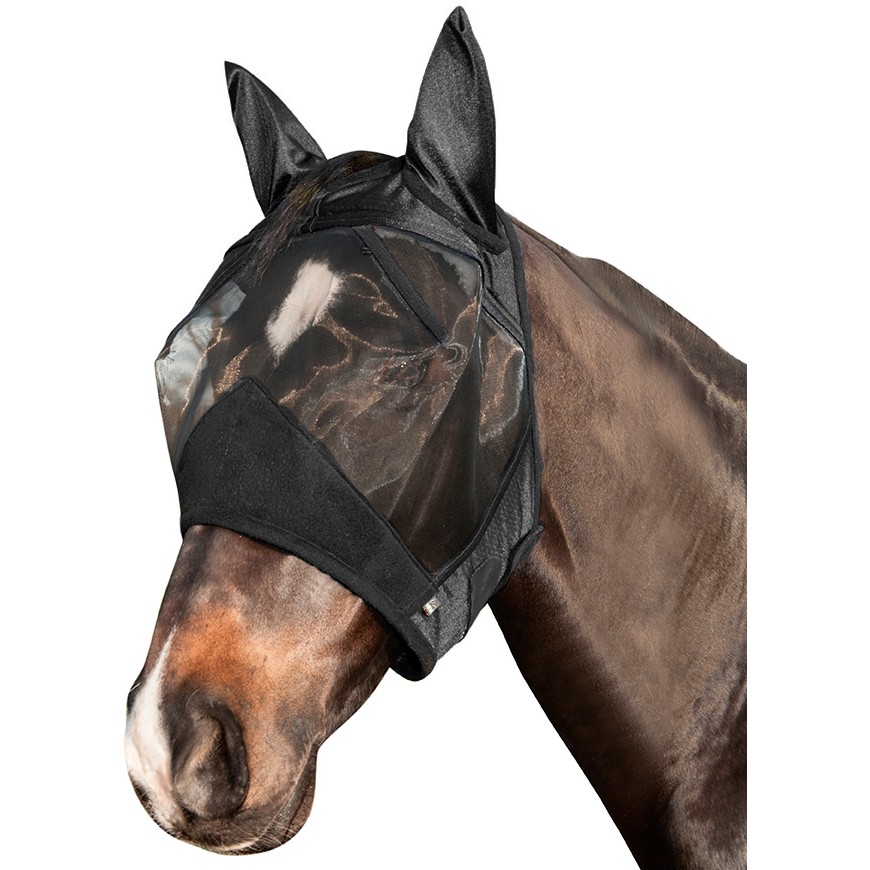 schwarz