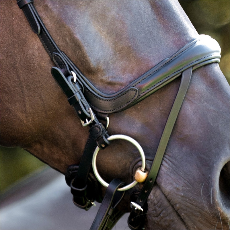 Trensenzaum englisch kombiniert CAJUS schwarz