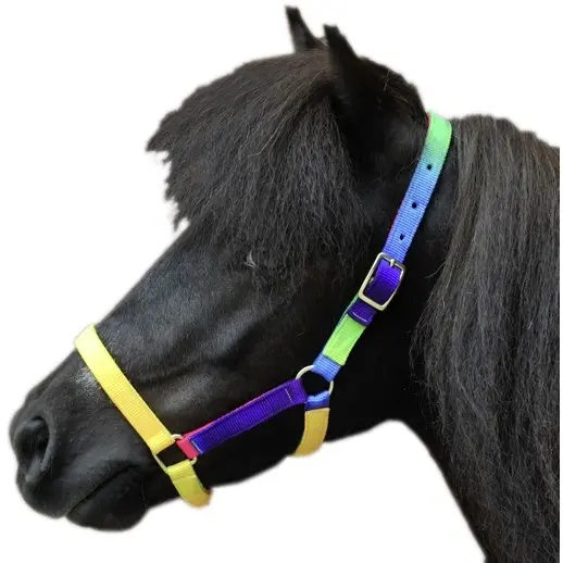 Nylonhalfter SHETTY bunt