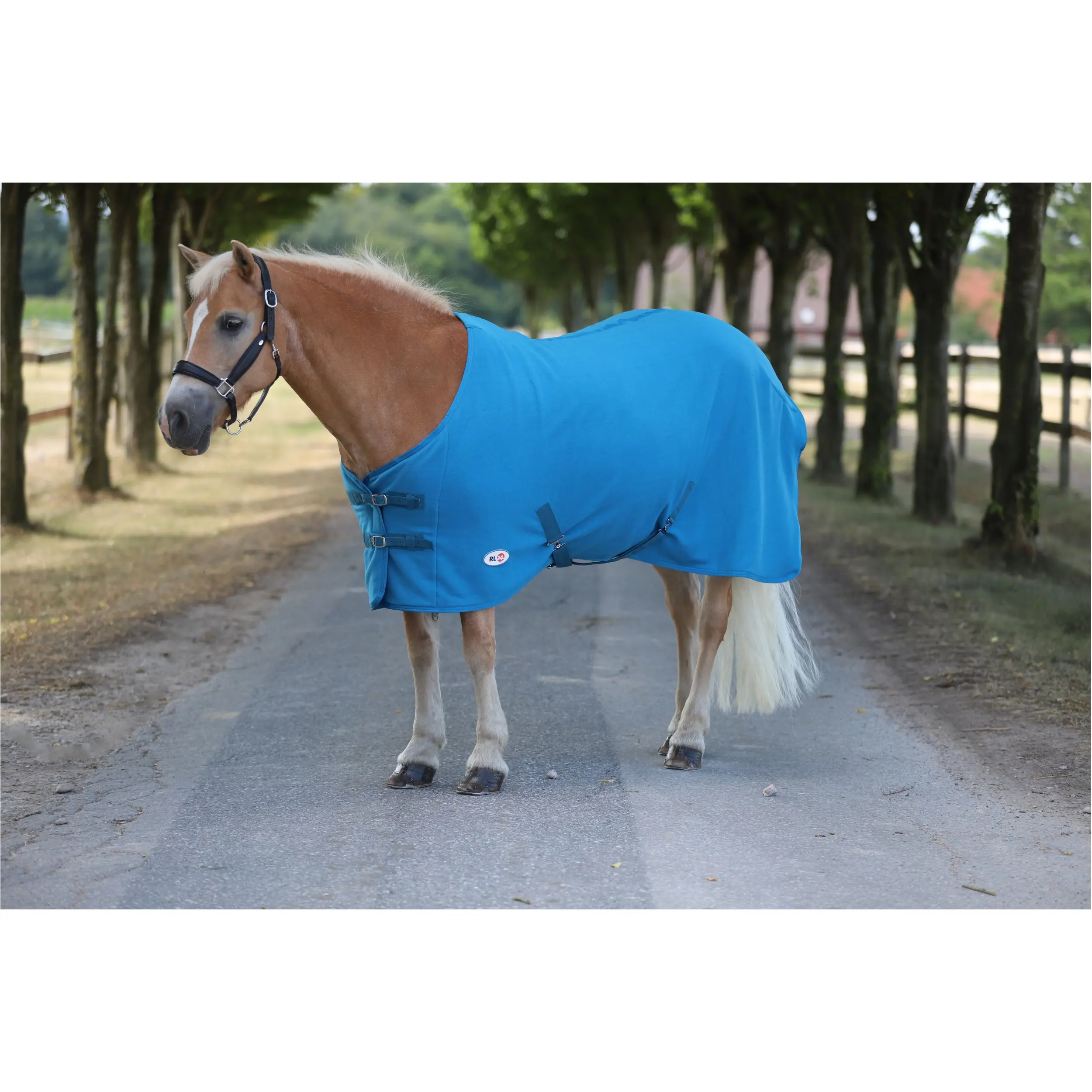 Abschwitzdecke mit Kreuzgurt BASICLINE petrol Abschwitzdecke mit Kreuzgurt BASICLINE petrol