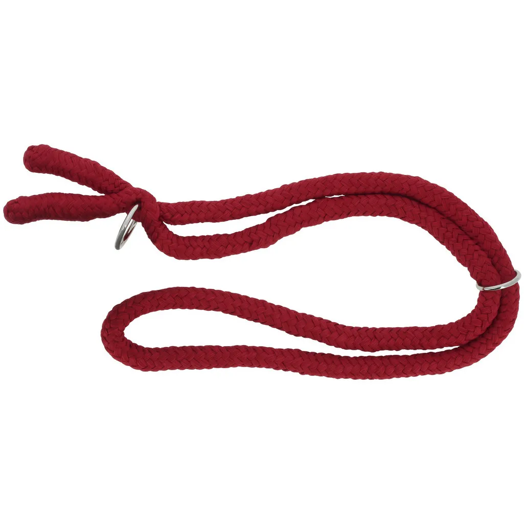 Ethologisches Halsband rot