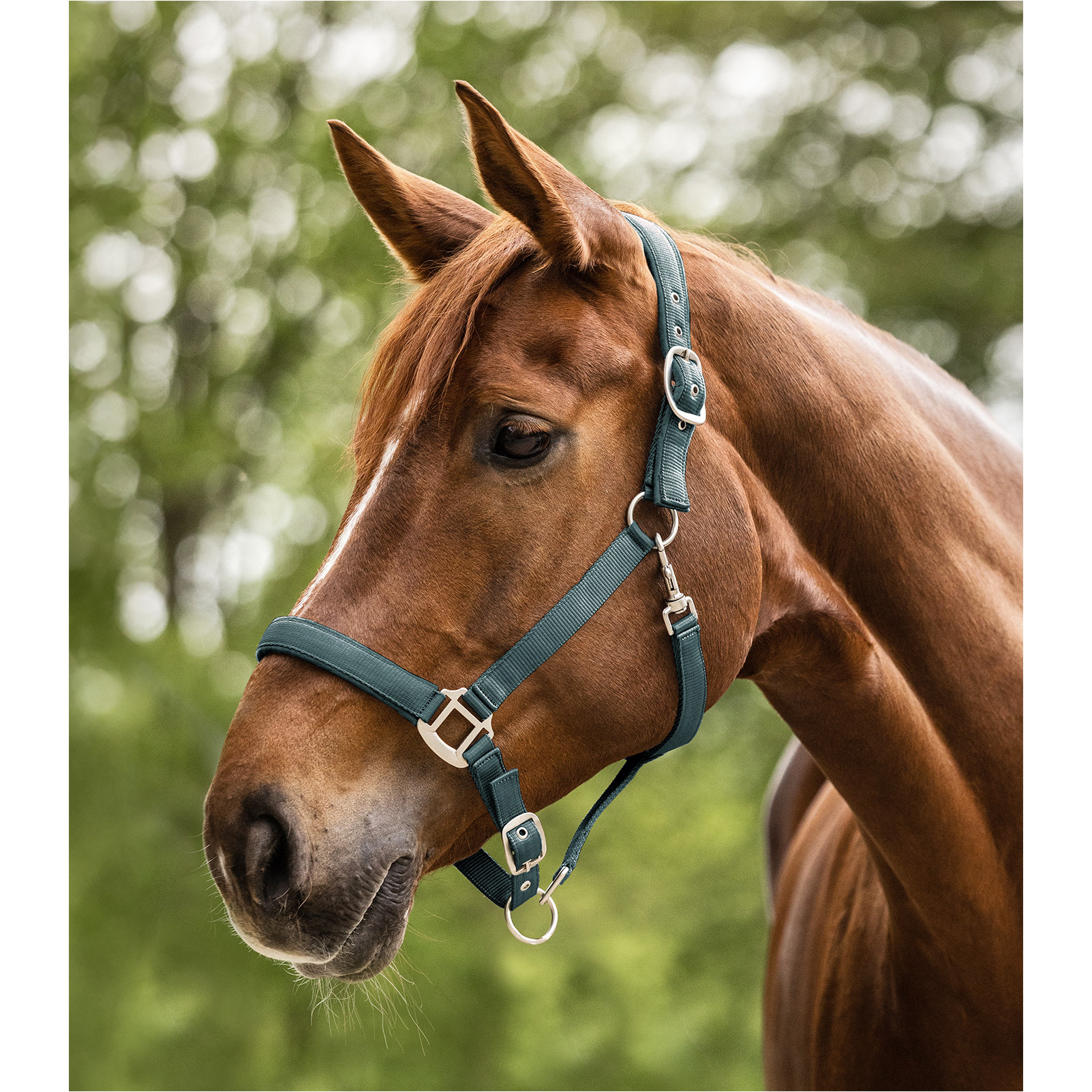 Halfter SATIN piniengrün