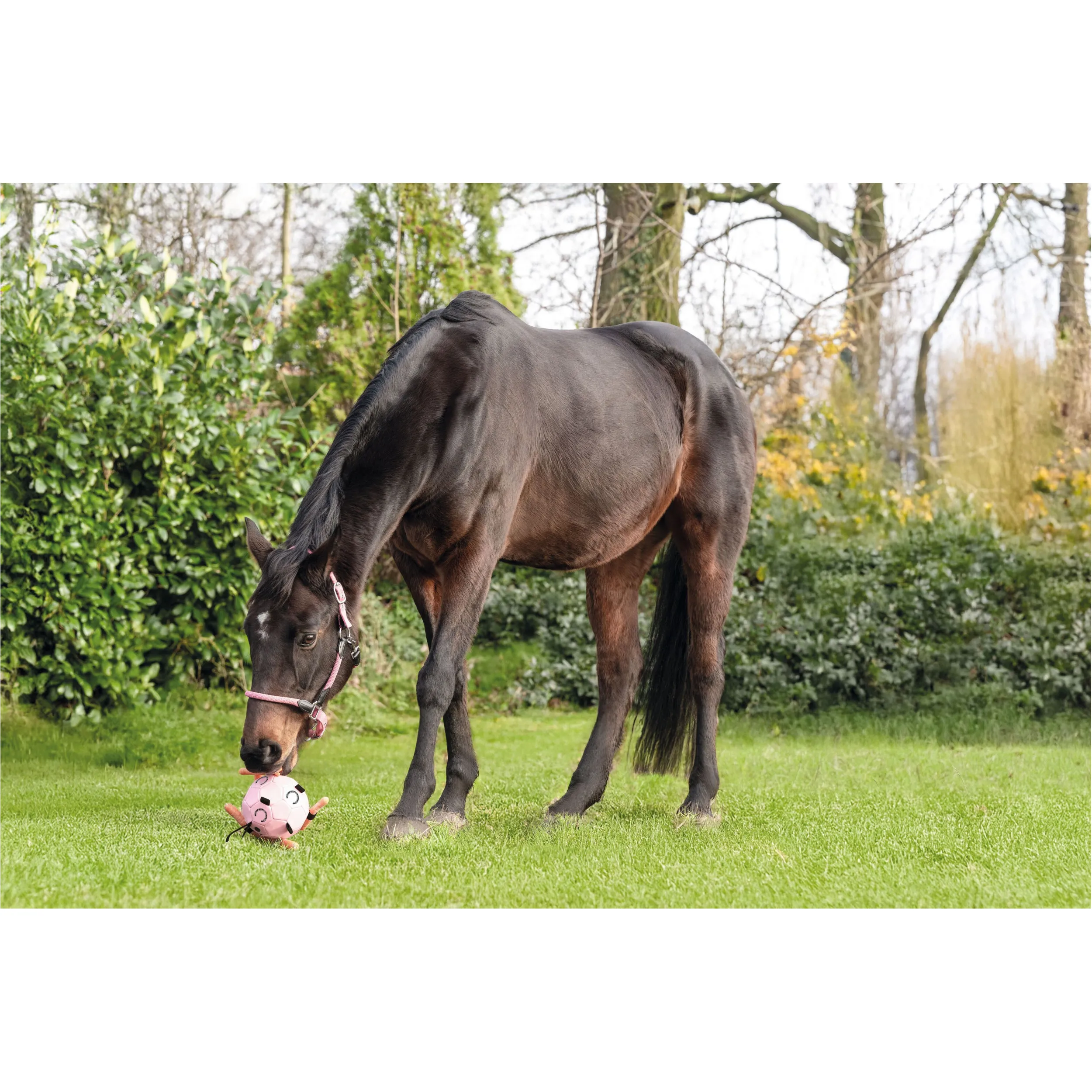 Pferdespielball FUN rosa