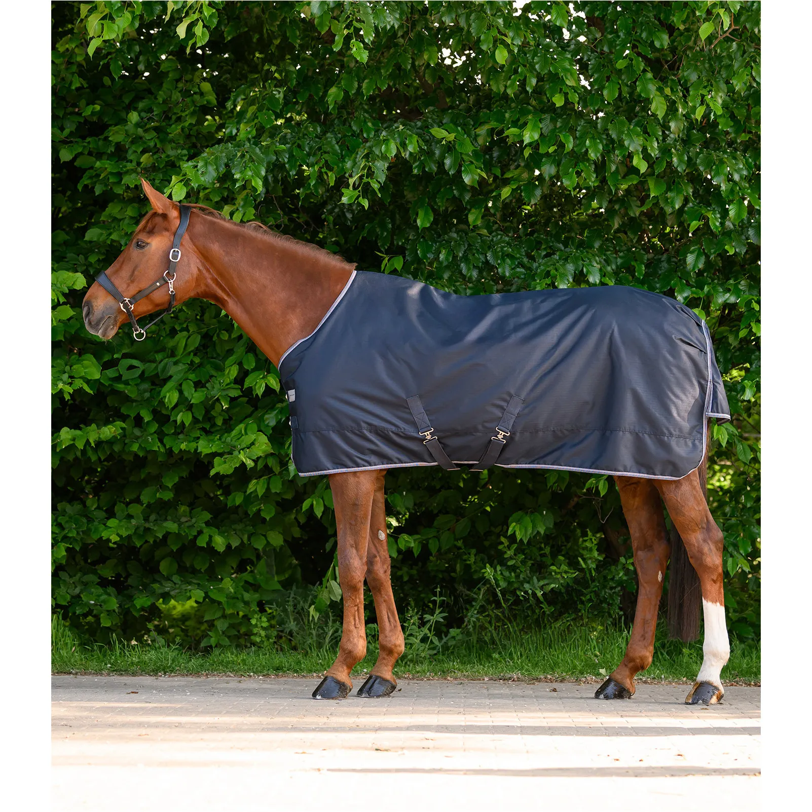 Outdoordecke Light 600D ECONOMIC nachtblau