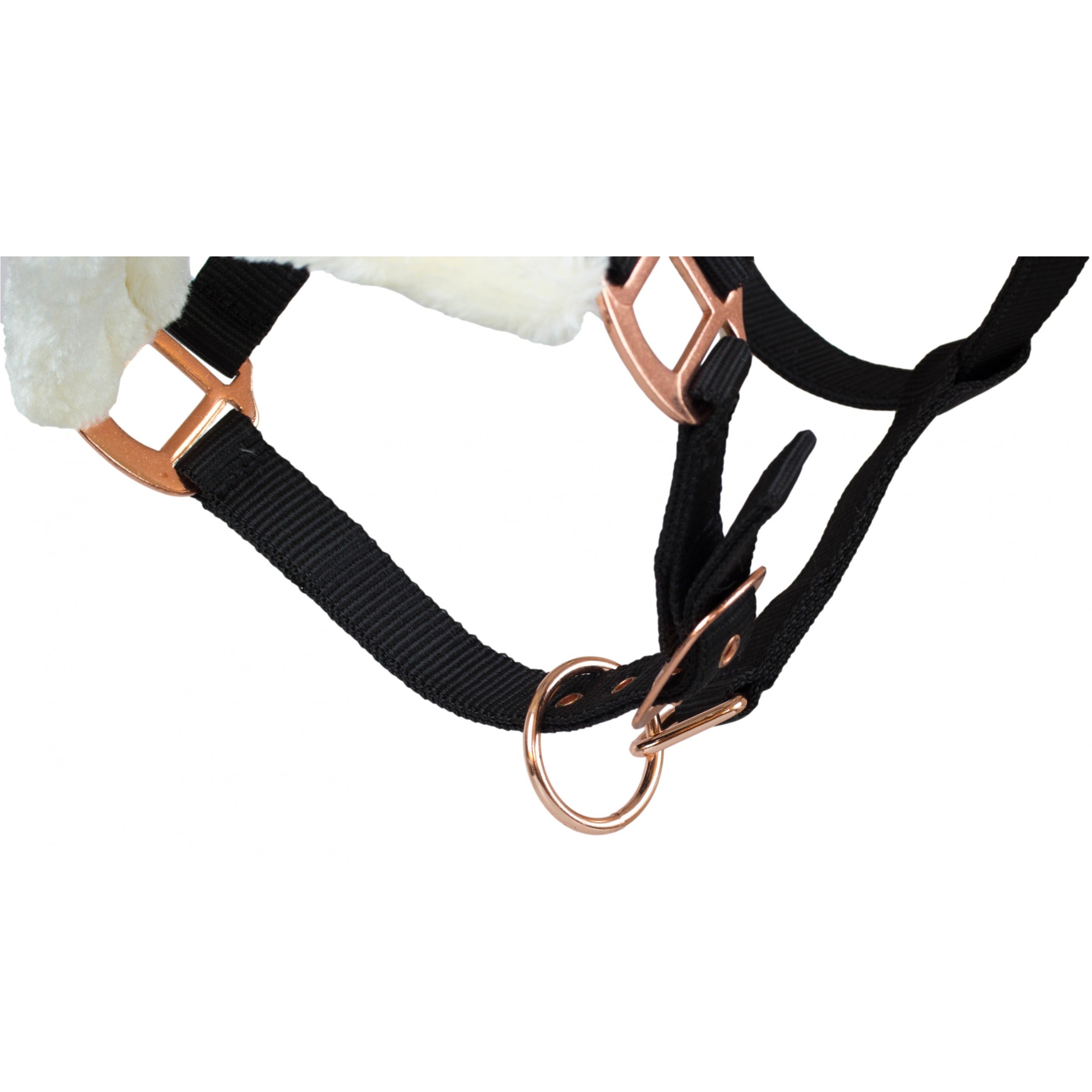 Halfter-Set mit Führstrick ELEGANT schwarz/roségold