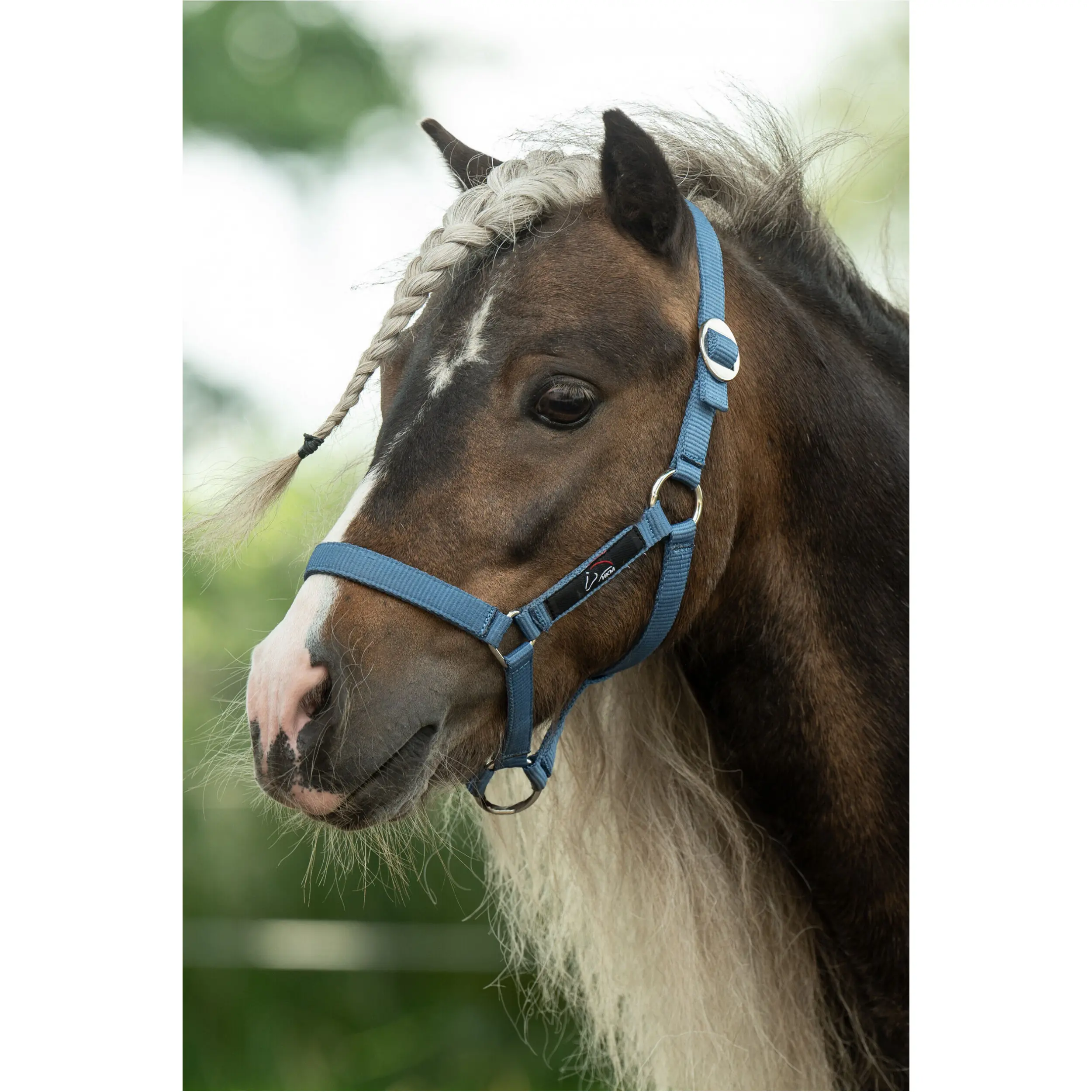 Halfter MINISHETTY rauchblau