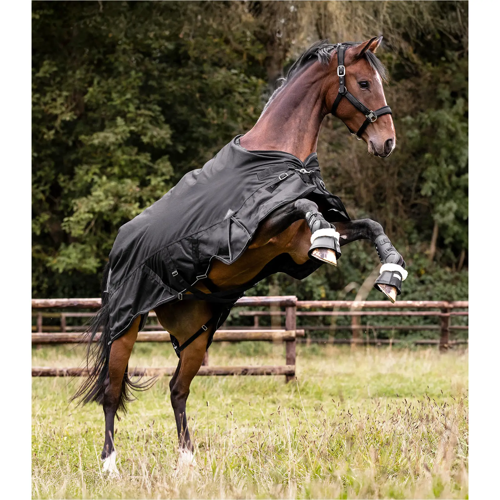 Outdoordecke 50g Füllung 1200D SCANDIC schwarz