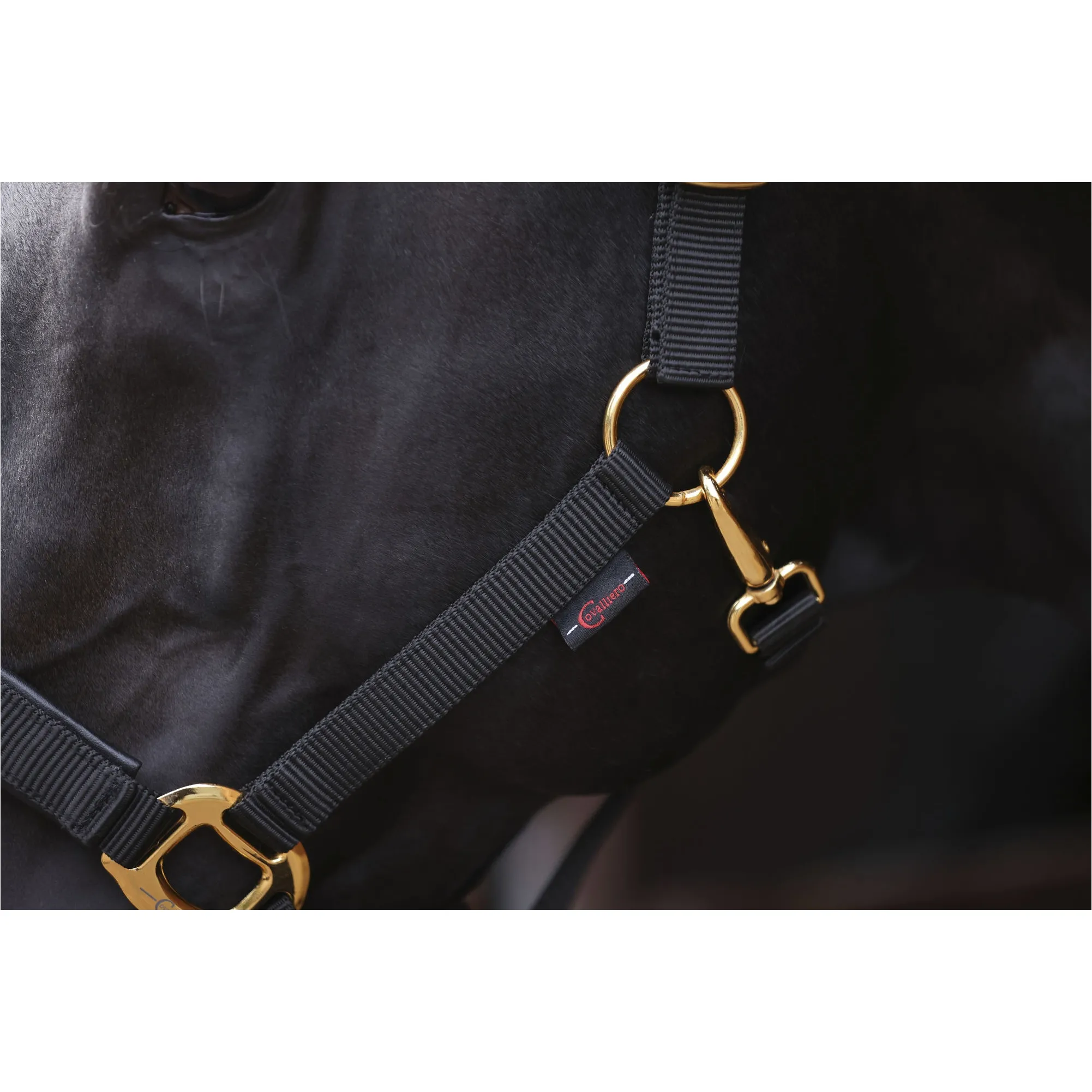 Halfter TOPLINE black