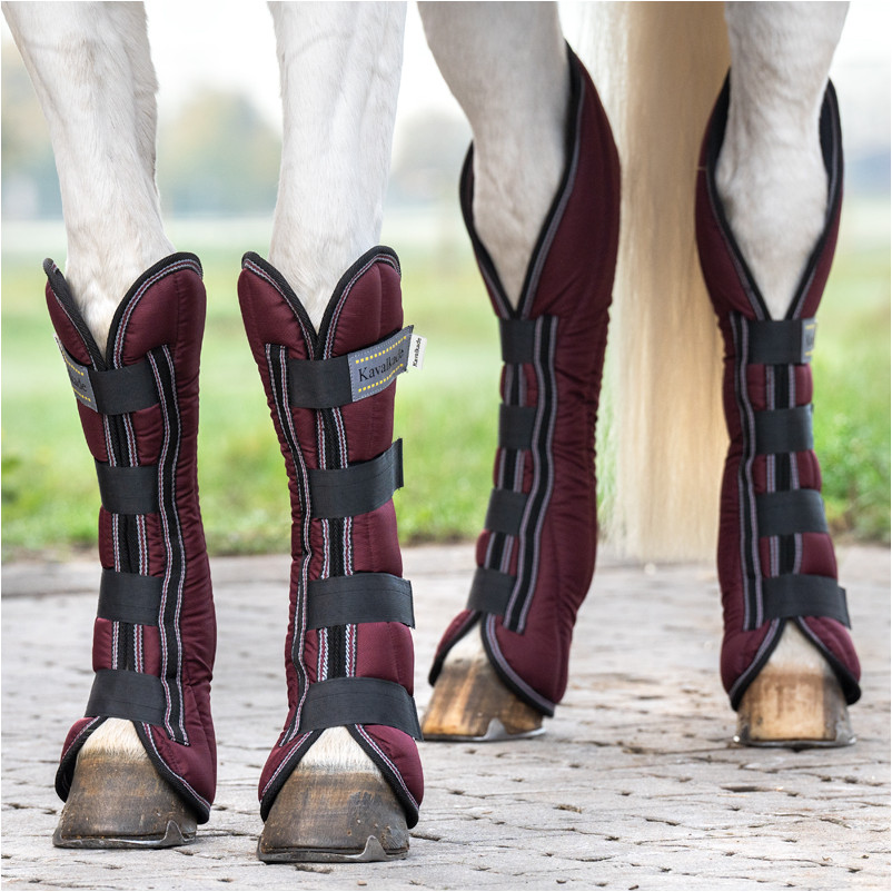 Transportgamaschen (4er Set) MONTREAL bordeaux