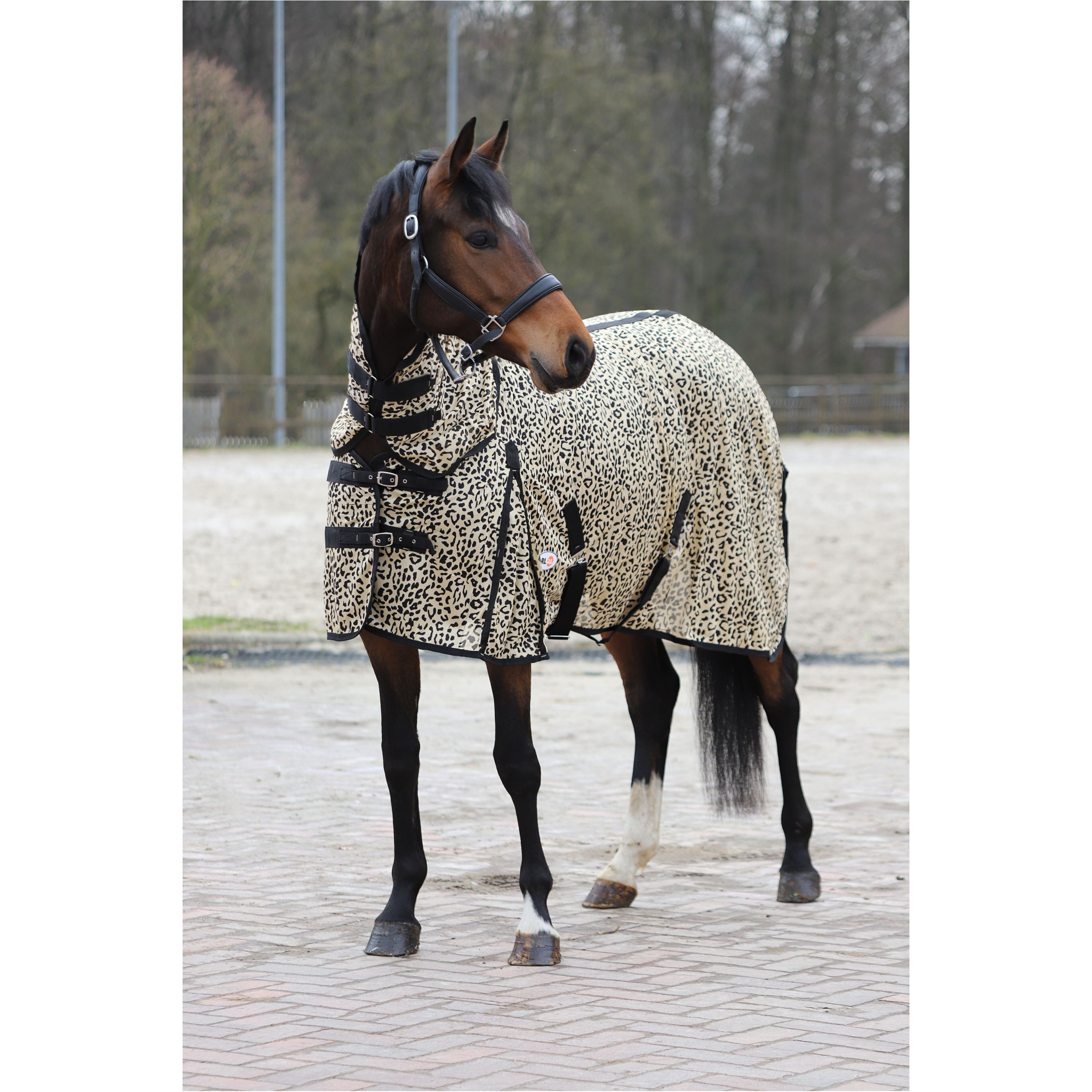 Fliegendecke mit Halsteil und Kreuzgurt DESIGN Leopard beige/schwarz