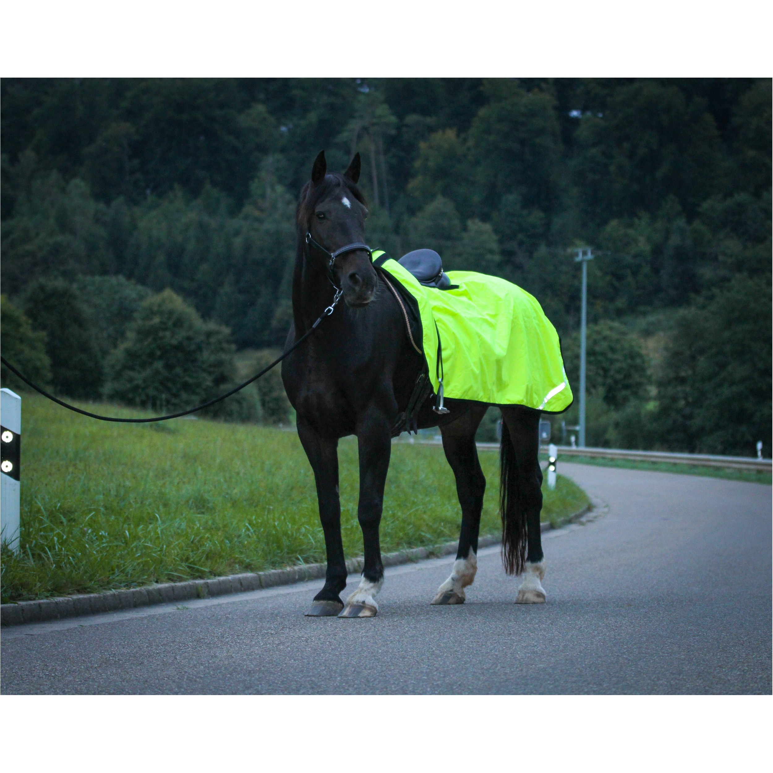 Ausreitdecke REFLEX neon gelb