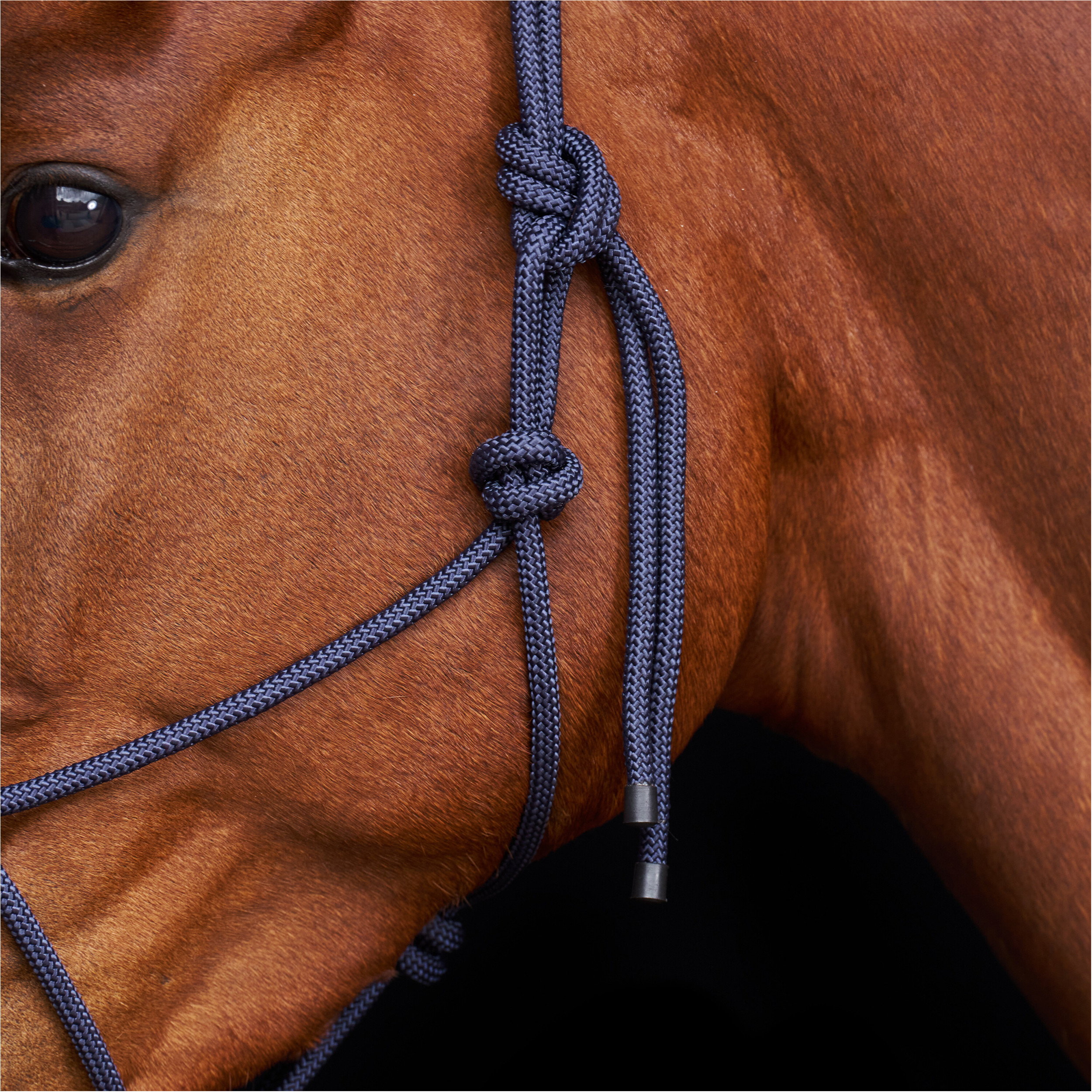 Halfter HVPLamu navy