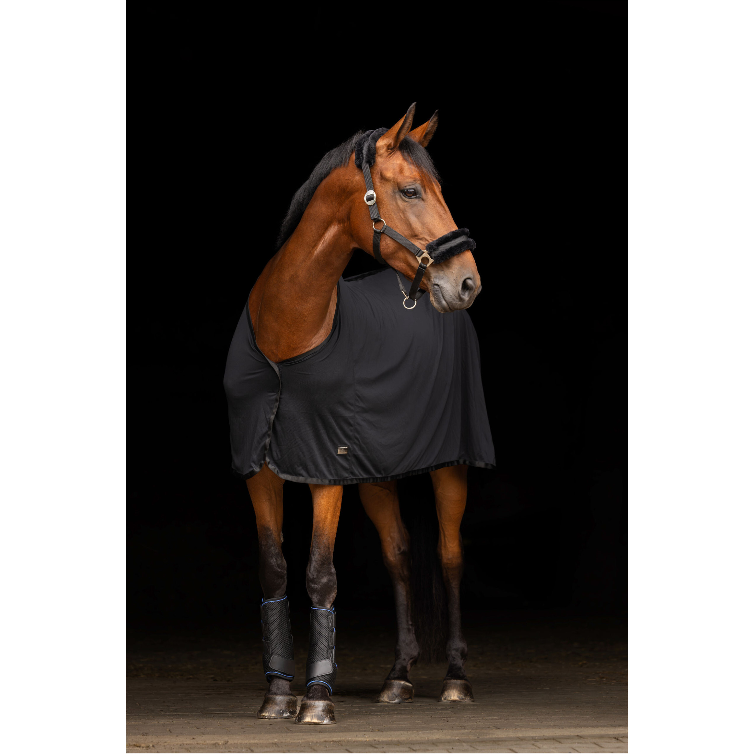 Wasserkühlgamaschen (1 Paar) CovallieroCool schwarz