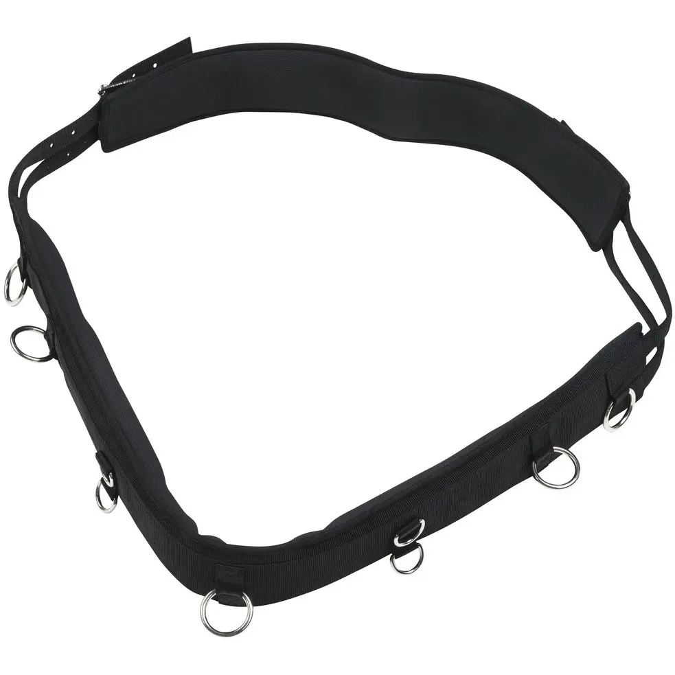 Longiergurt aus Polypropylen schwarz 175-220cm
