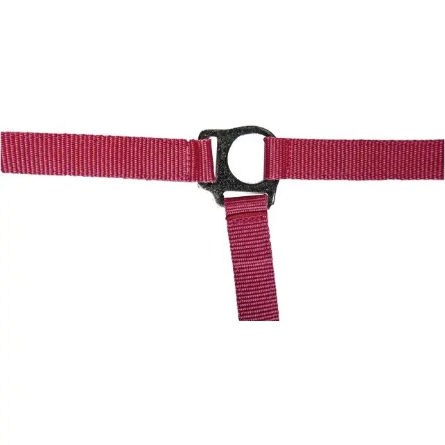 Halfter STARS ECONOMY SOFTICE pink Halfter STARS ECONOMY SOFTICE pink