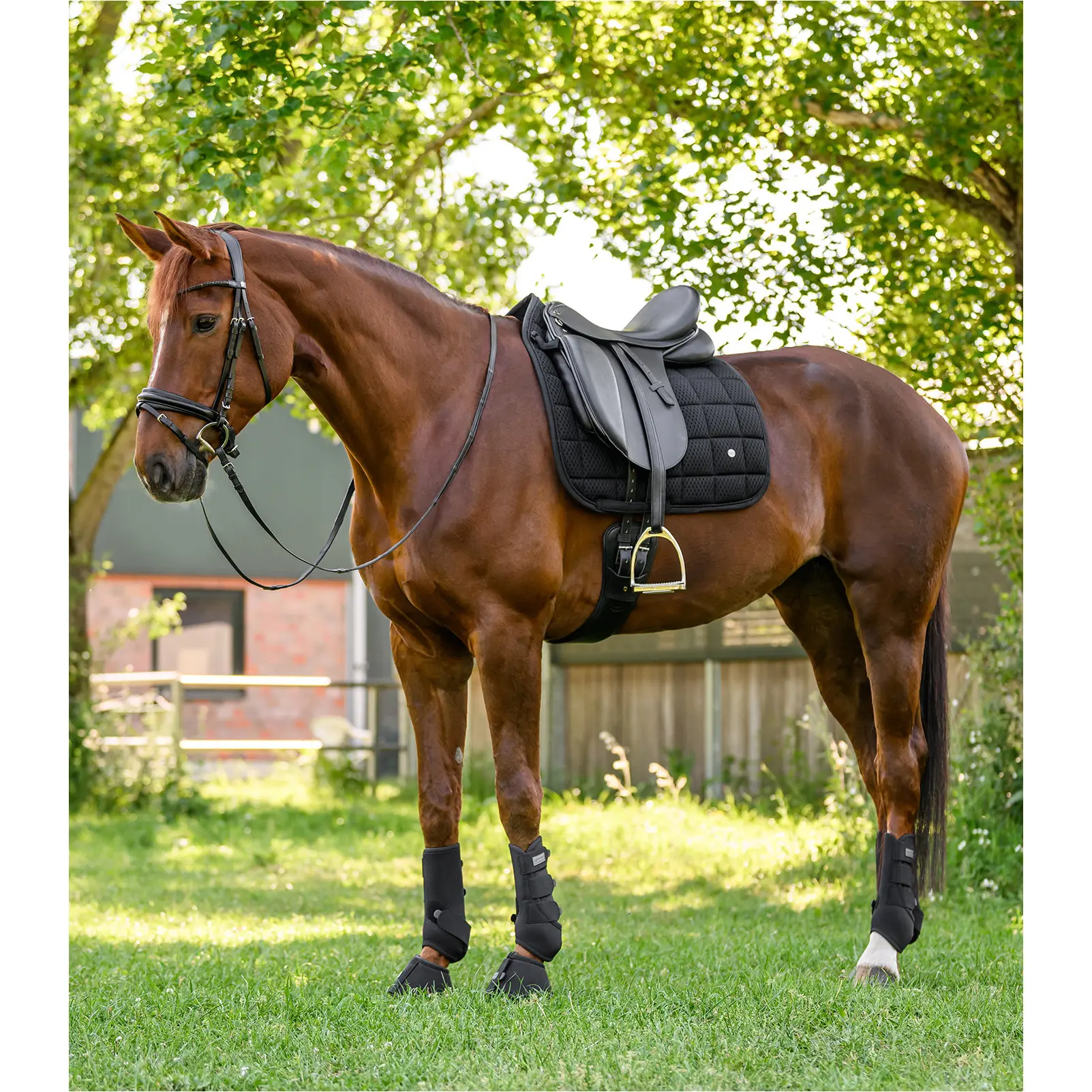 Schabracke BREATH PERFORMANCE schwarz Warmblut