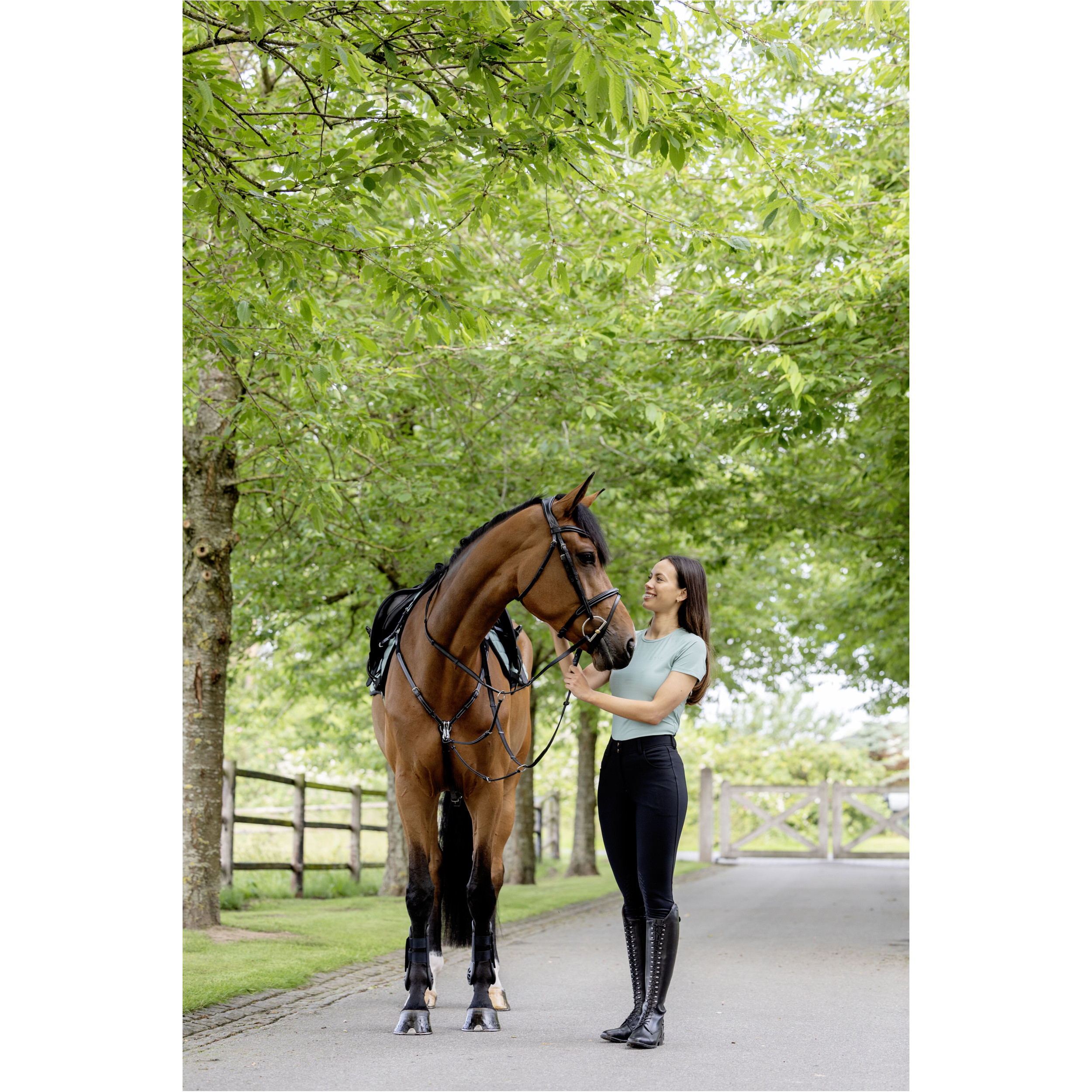 Vorderzeug mit abnehmbarem Martingal schwarz