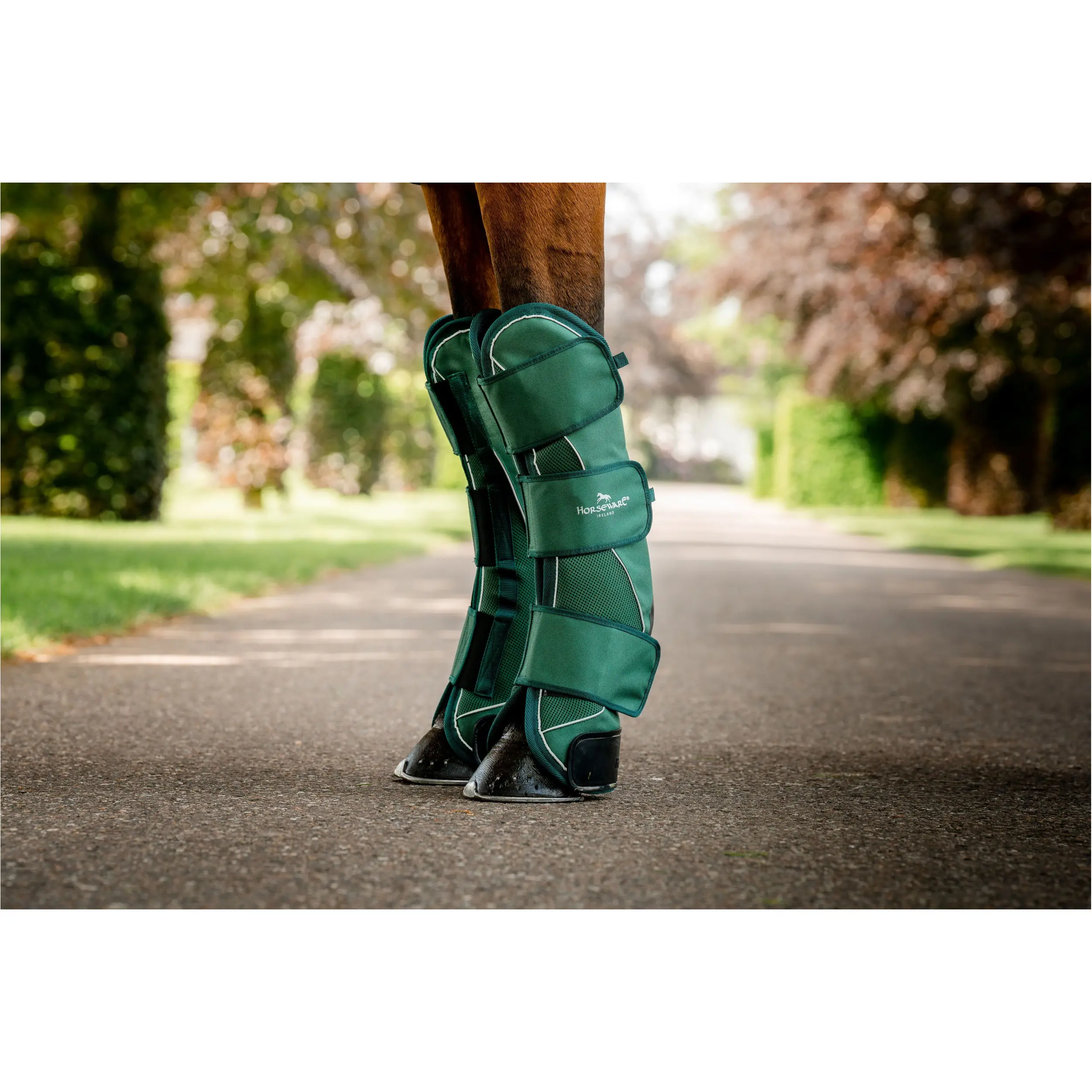 Transportgamaschen SIGNATURE hunter green