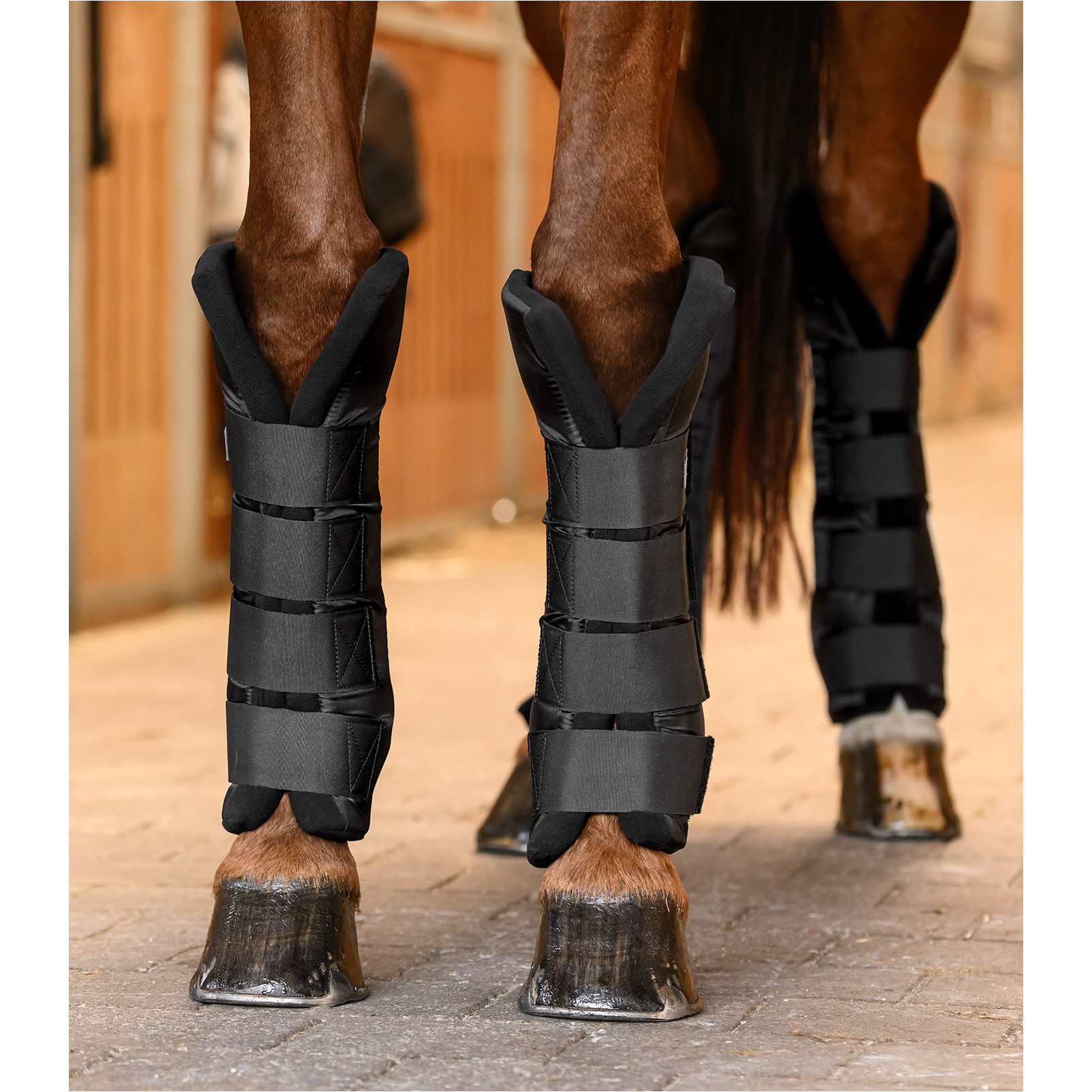 Stallgamaschen hinten mit Gelenksupport schwarz Stallgamaschen hinten mit Gelenksupport schwarz