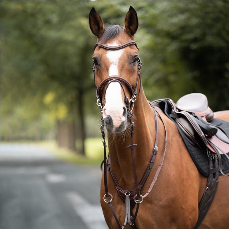 Martingal weich gepolstert AZRIEL braun