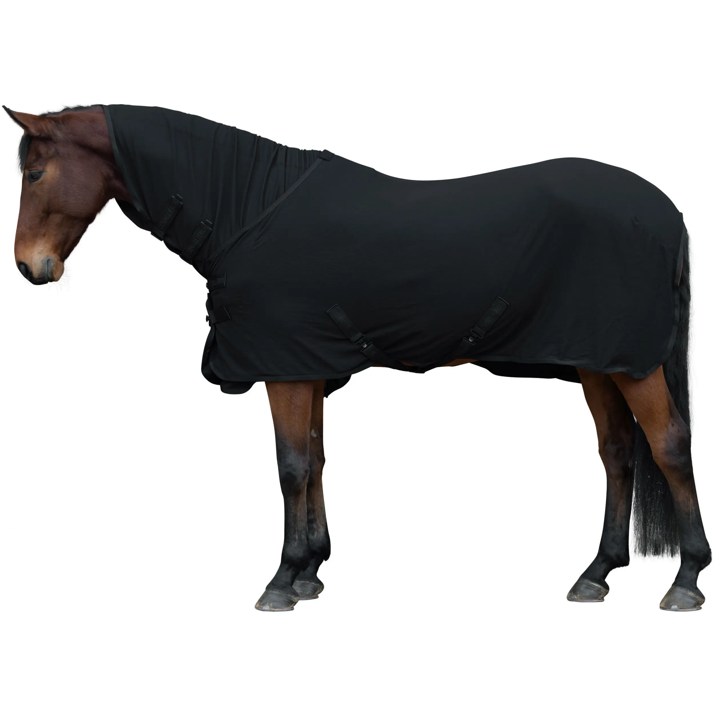 Abschwitzdecke LIGHT H/W 2025 schwarz