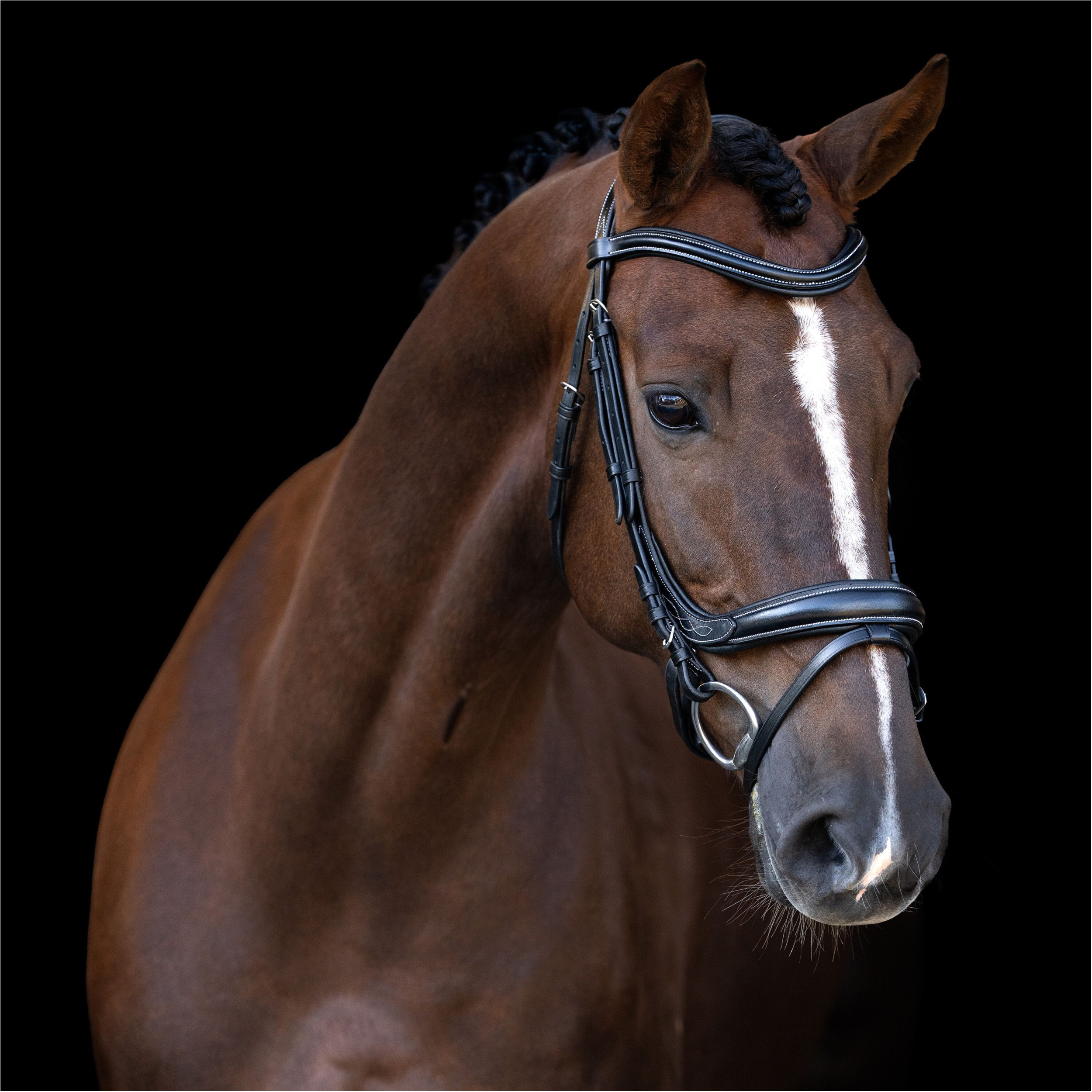 Trensenzaum IRH mit gebogenem englischen Nasenriemen schwarz