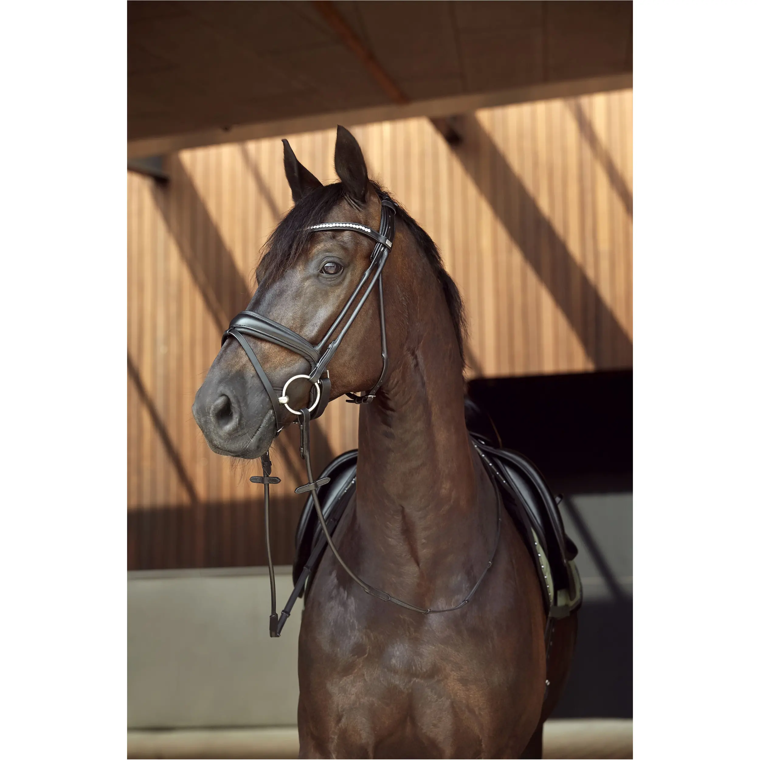 Trensenzaum rundgenäht AVA Echtleder schwarz Trensenzaum rundgenäht AVA Echtleder schwarz