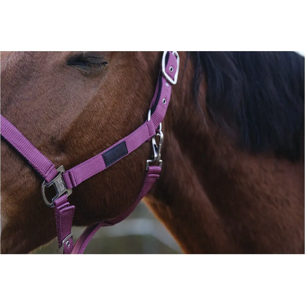 Nylonhalfter SPRING rosa