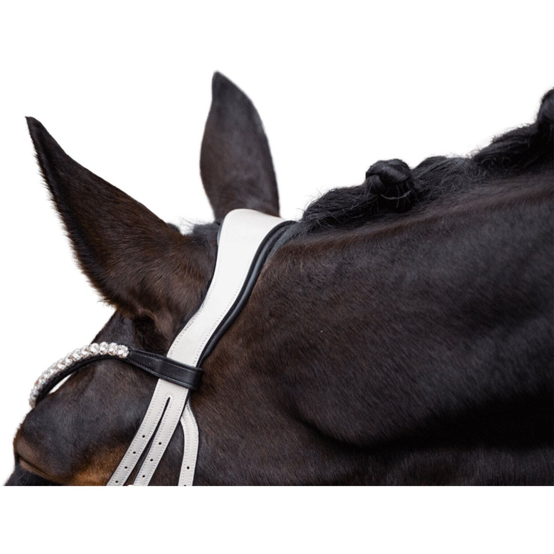 Trensenzaum mit schwedischem Reithalfter LIMONE ELEGANT schwarz/beige Trensenzaum mit schwedischem Reithalfter LIMONE ELEGANT schwarz/beige