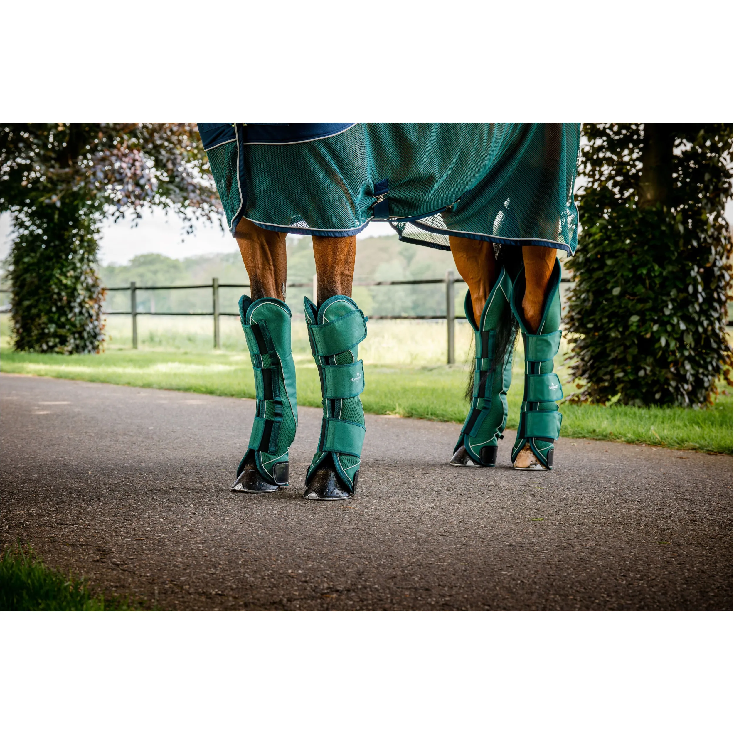 Transportgamaschen SIGNATURE hunter green