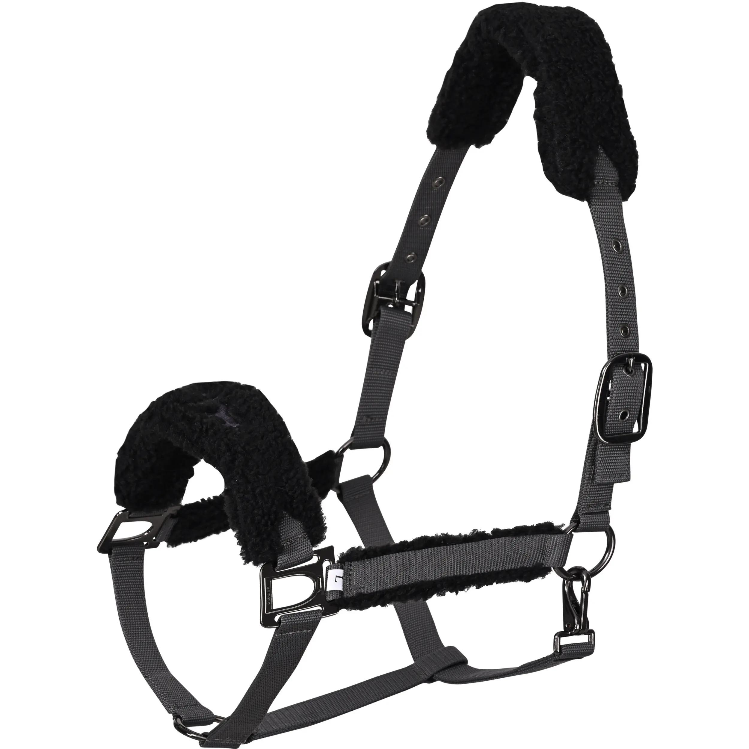 Halfter HVPTeddy cloud