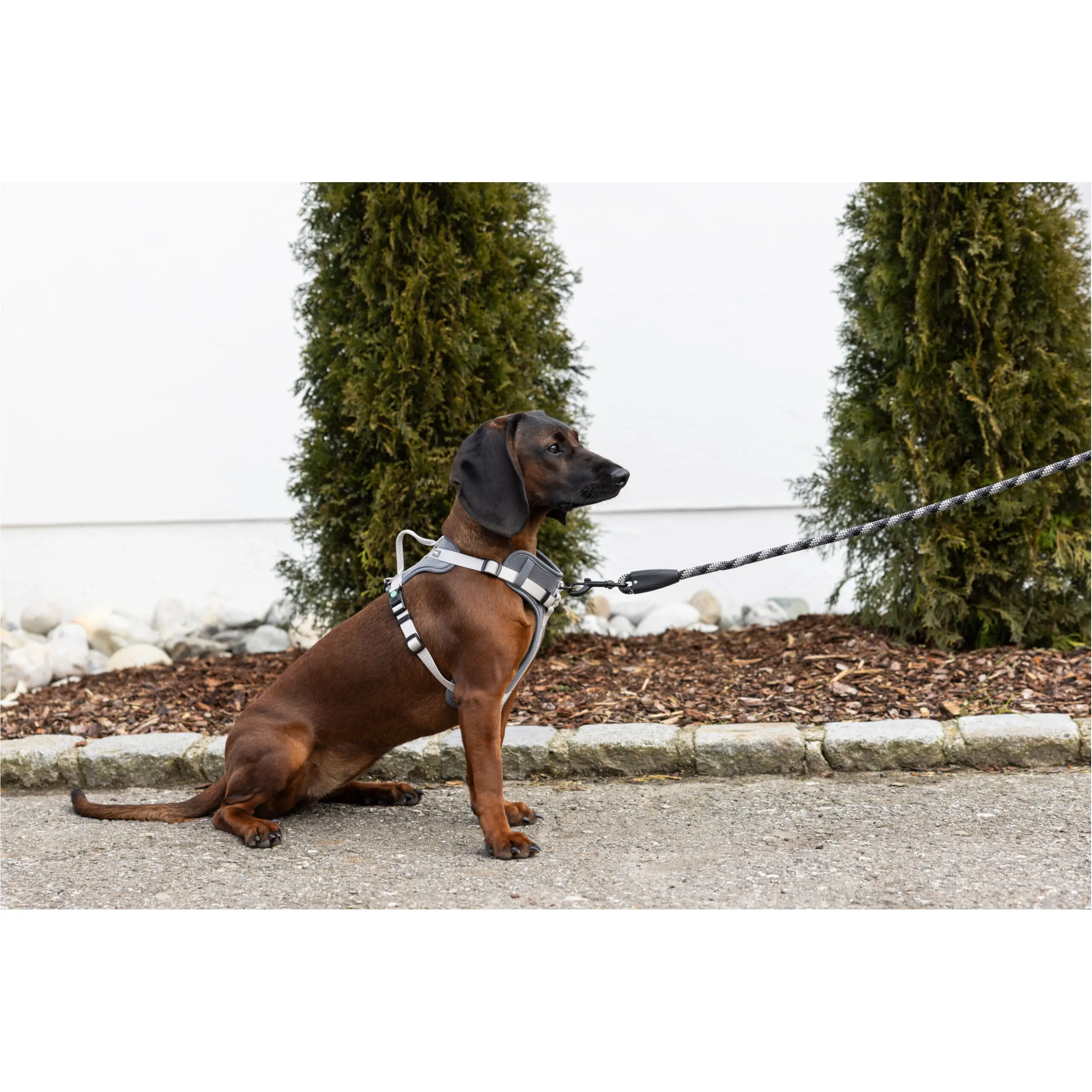Hundegeschirr FITTY grau/beige