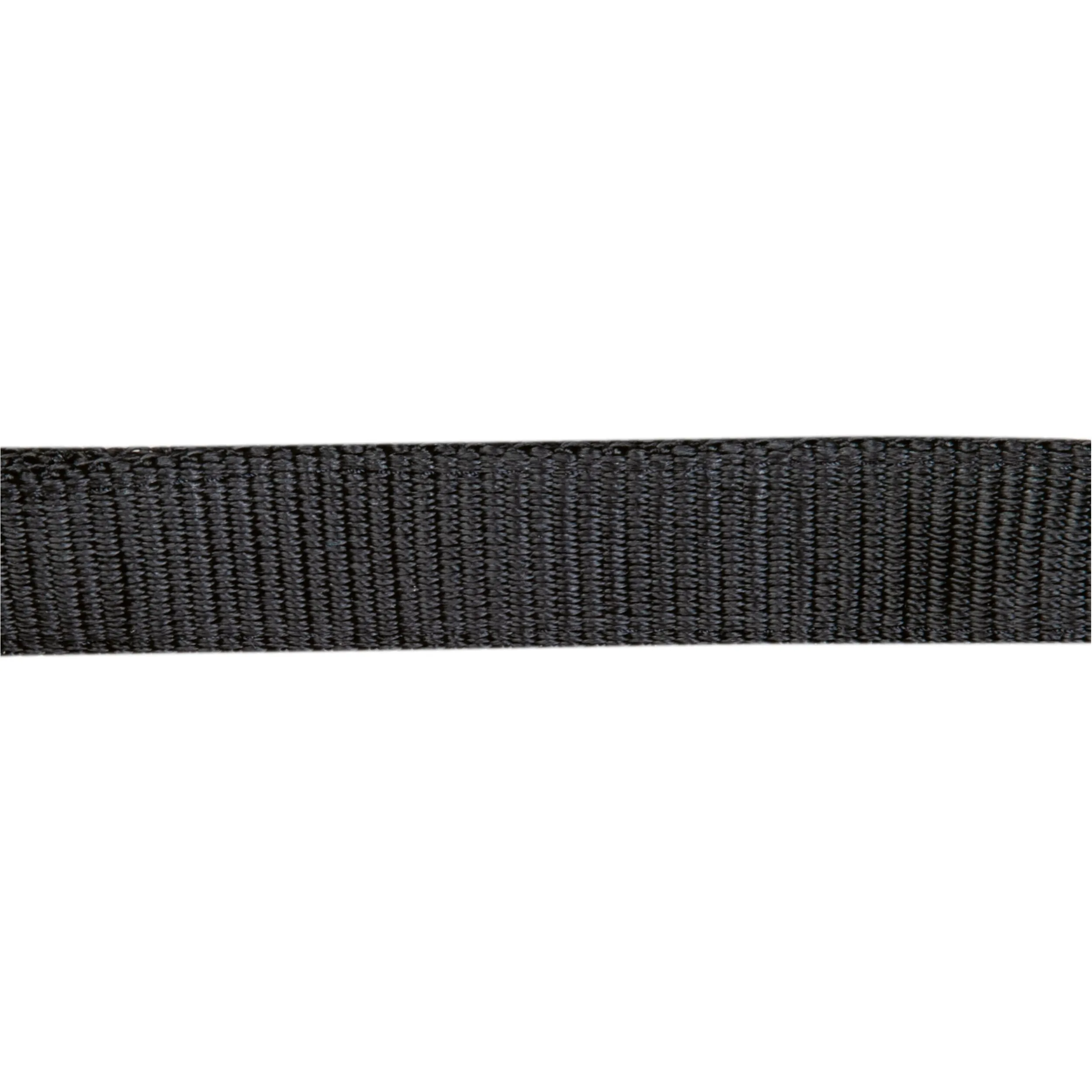 Halfter STARS ECONOMY schwarz