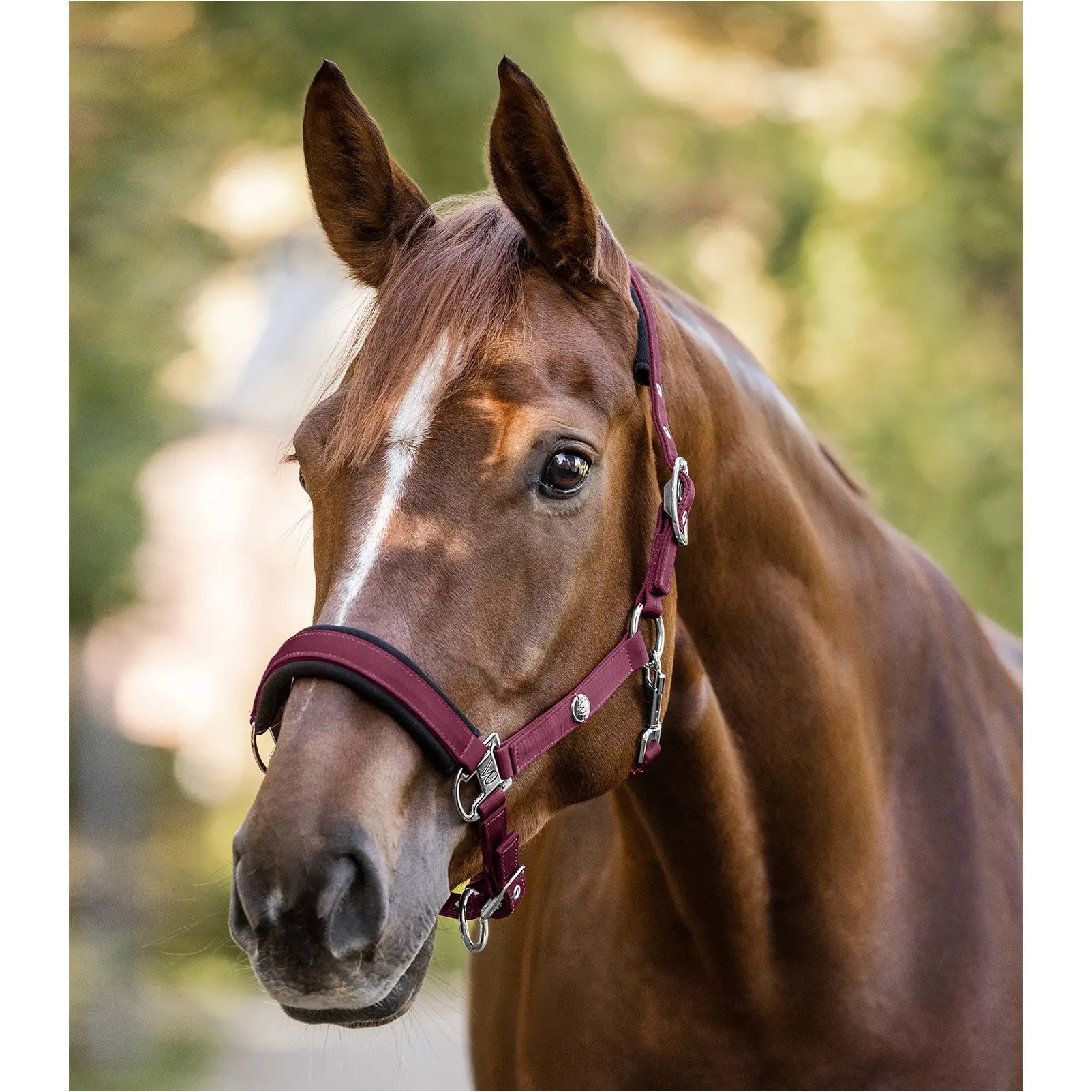 Halfter NAIROBI burgunderrot
