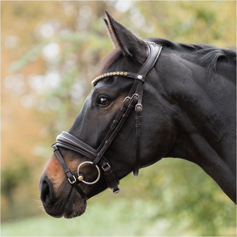 Trensenzaum schwedisch kombiniert ZORA braun