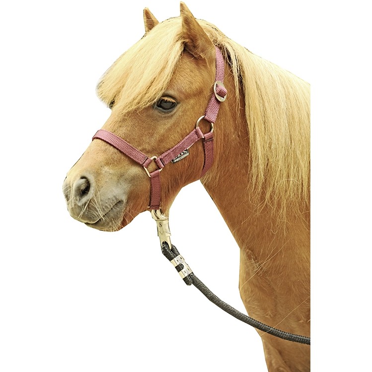 Halfter MINISHETTY weinrot