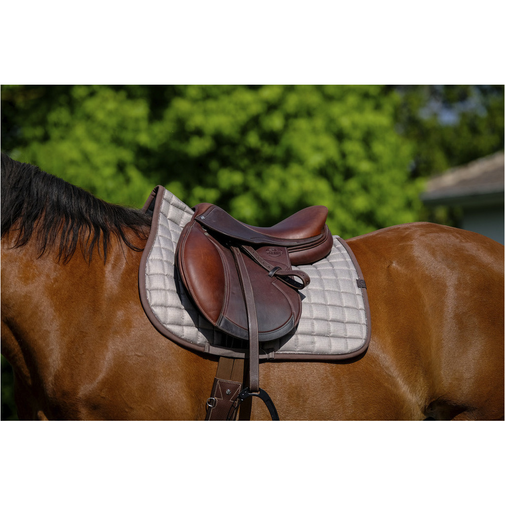 Schabracke CHIC braun Warmblut Vielseitigkeit Schabracke CHIC braun Warmblut Vielseitigkeit
