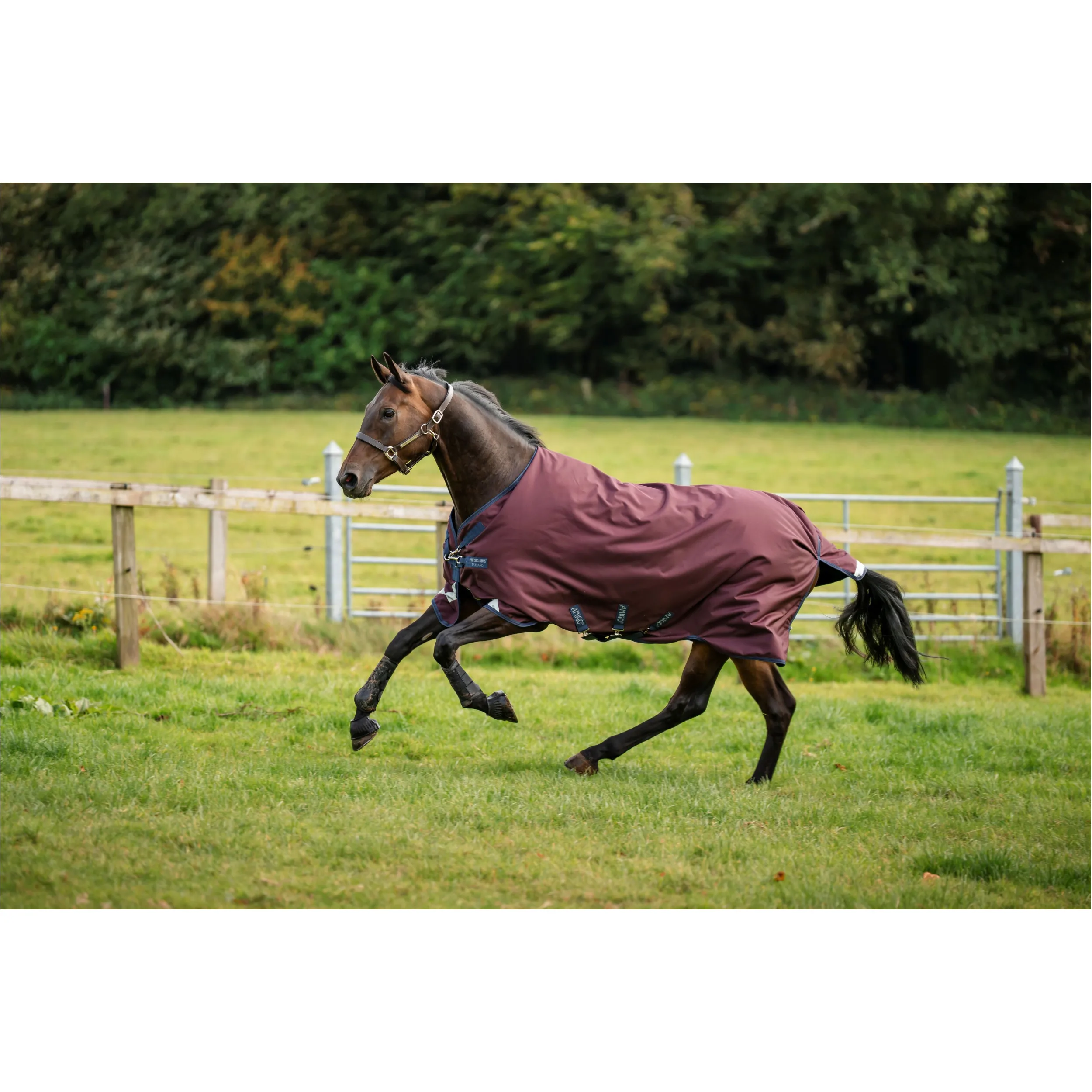 Outdoordecke 1200D AMIGO burgundy/navy/titanium grey