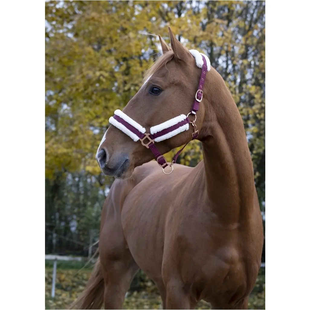 bordeauxrot