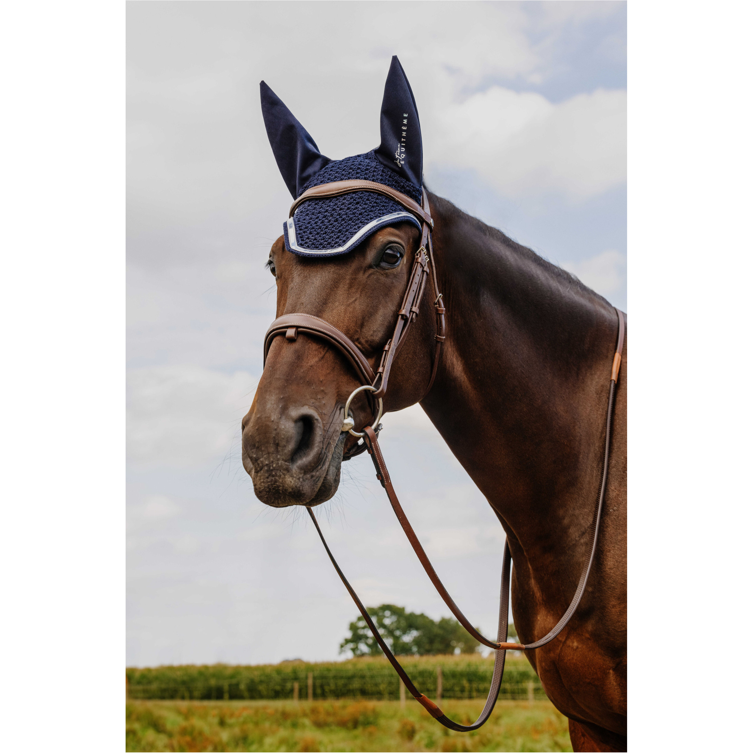 Fliegenhaube Je t'aime MIRROR navy Warmblut