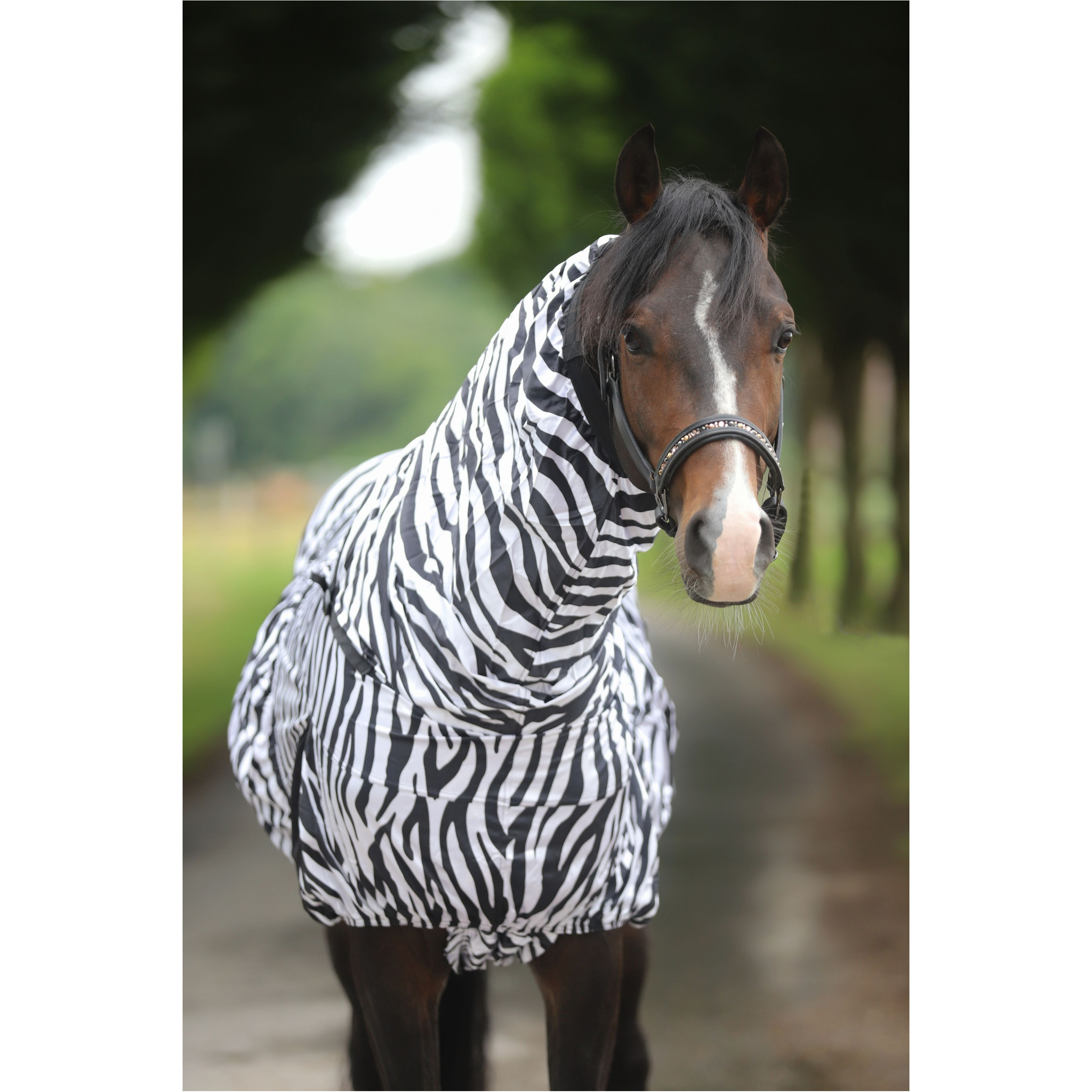 Ekzemerdecke ZEBRA schwarz/weiß