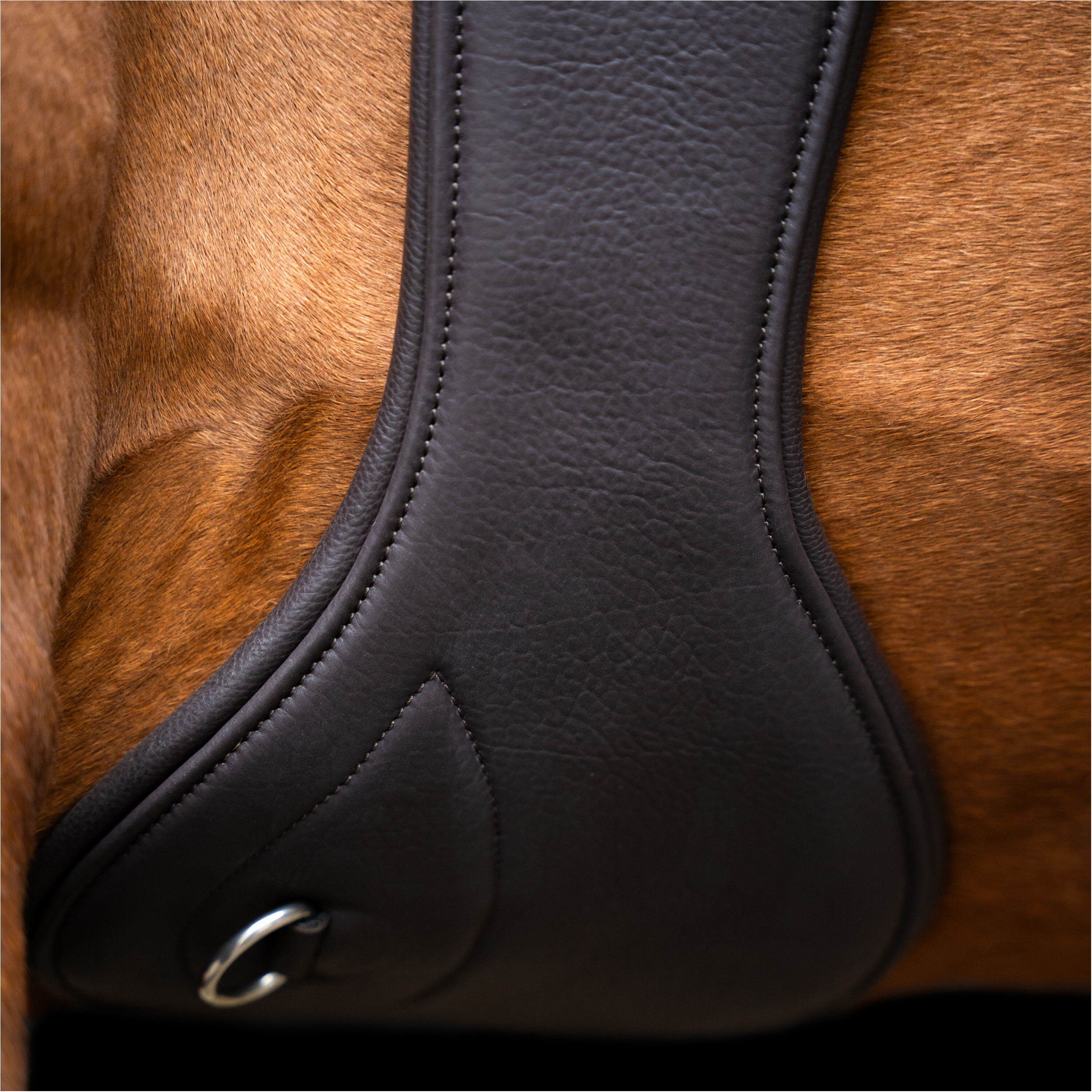 Stollengurt IRH anatomisch mit Rollenschnallen dark braun