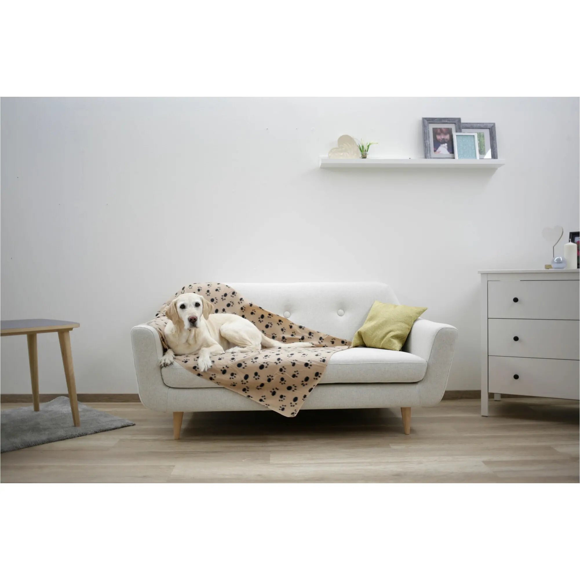Hundedecke STELLA beige