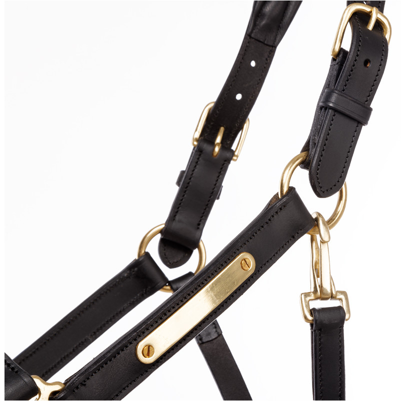 Lederhalfter Soft CINTA schwarz